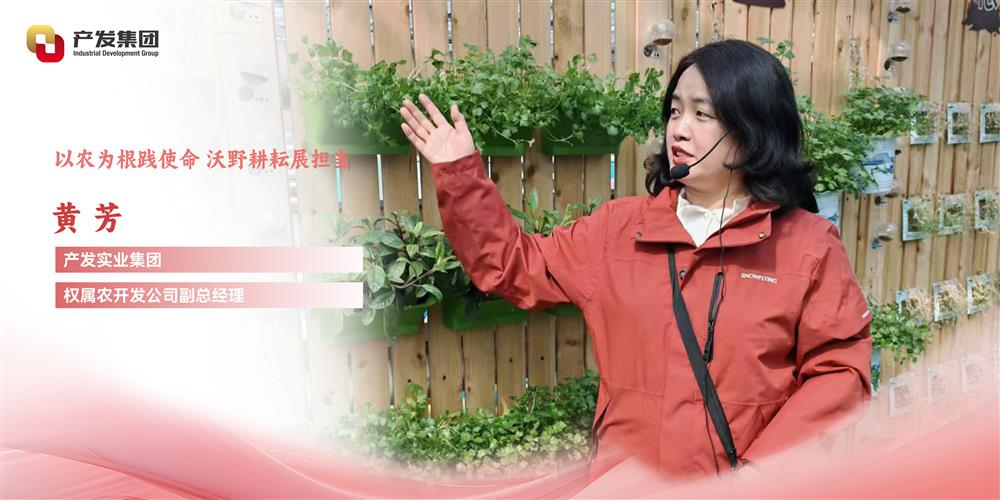 巾幗綻芳華 | 產(chǎn)發(fā)實業(yè)集團權(quán)屬農(nóng)開發(fā)公司 黃芳：以農(nóng)為根踐使命，沃野耕耘展擔(dān)當(dāng)